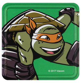 Green Ninja Coaster